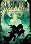 Niewinter 2 - Niewinter - Drizzt - Link zu Amazon - Taschenbuch